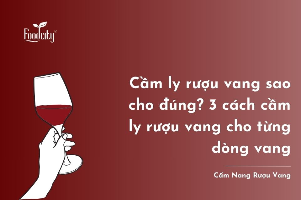 Hướng dẫn 3 cách cầm ly rượu vang chuẩn chuyên gia tại các bữa tiệc Hướng dẫn 3 cách cầm ly rượu vang chuẩn chuyên gia tại các bữa tiệc