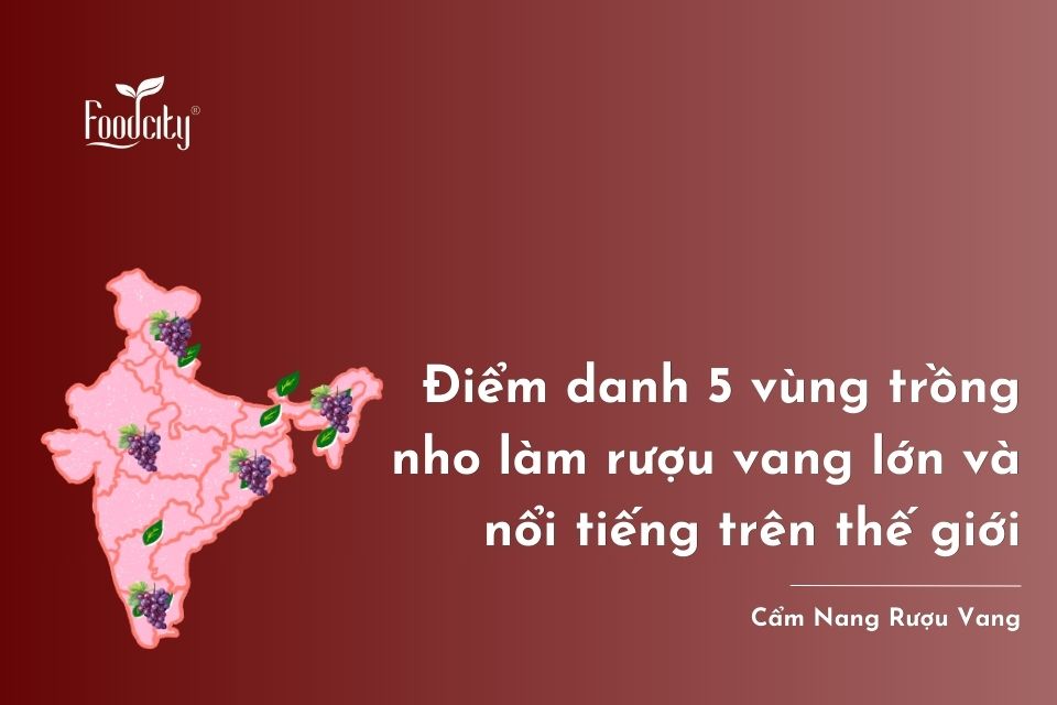 Điểm danh 5 vùng trồng nho làm rượu vang lớn và nổi tiếng trên thế giới Điểm danh 5 vùng trồng nho làm rượu vang lớn và nổi tiếng trên thế giới