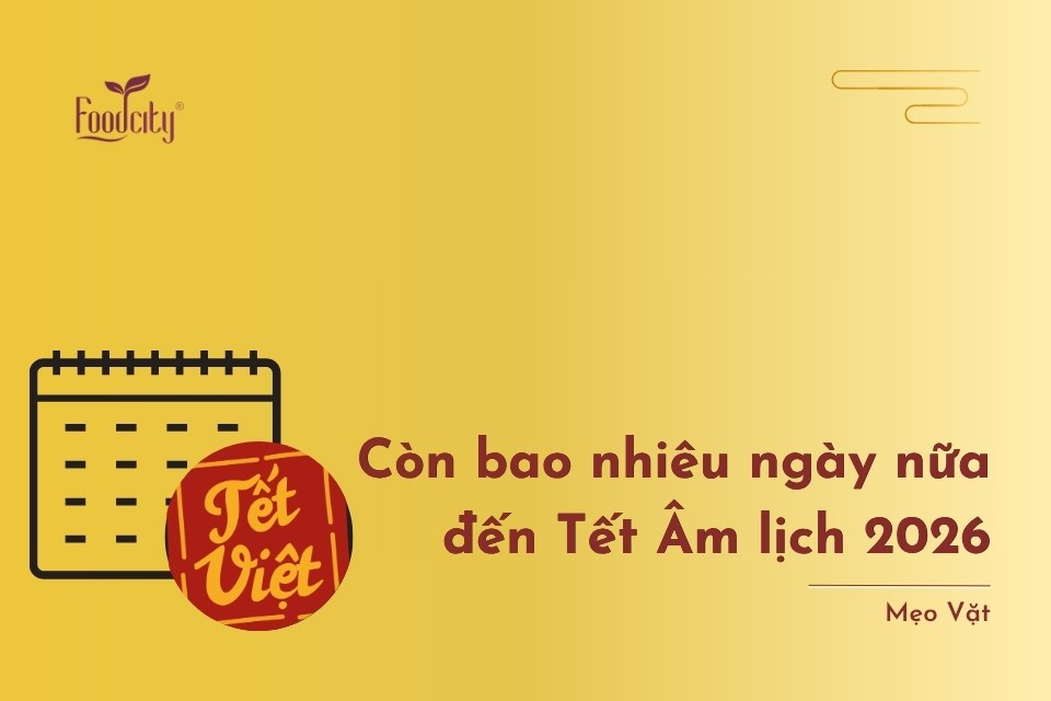 Còn bao nhiêu ngày nữa đến Tết Âm lịch 2026 - Lịch Tết 2026