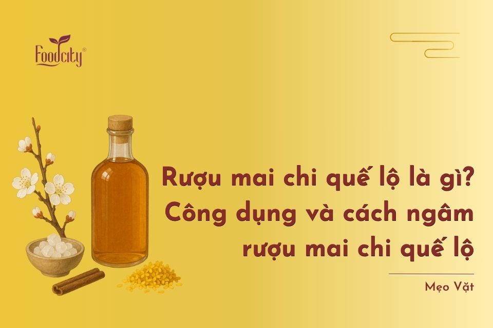 Rượu mai chi quế lộ là gì? Công dụng và cách ngâm rượu mai chi quế lộ