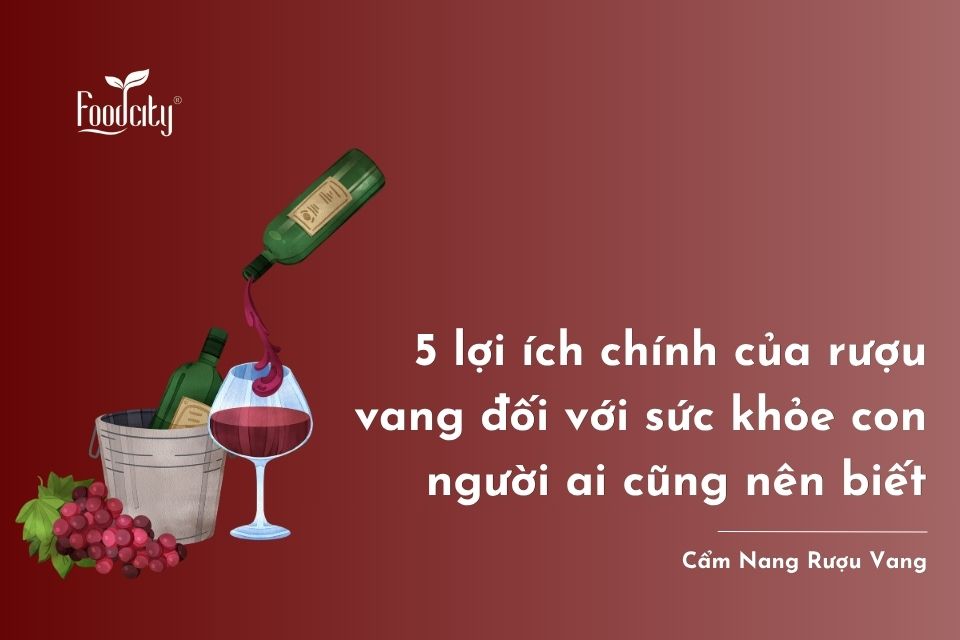 5 lợi ích chính của rượu vang đối với sức khỏe con người ai cũng nên biết 5 lợi ích chính của rượu vang đối với sức khỏe con người ai cũng nên biết