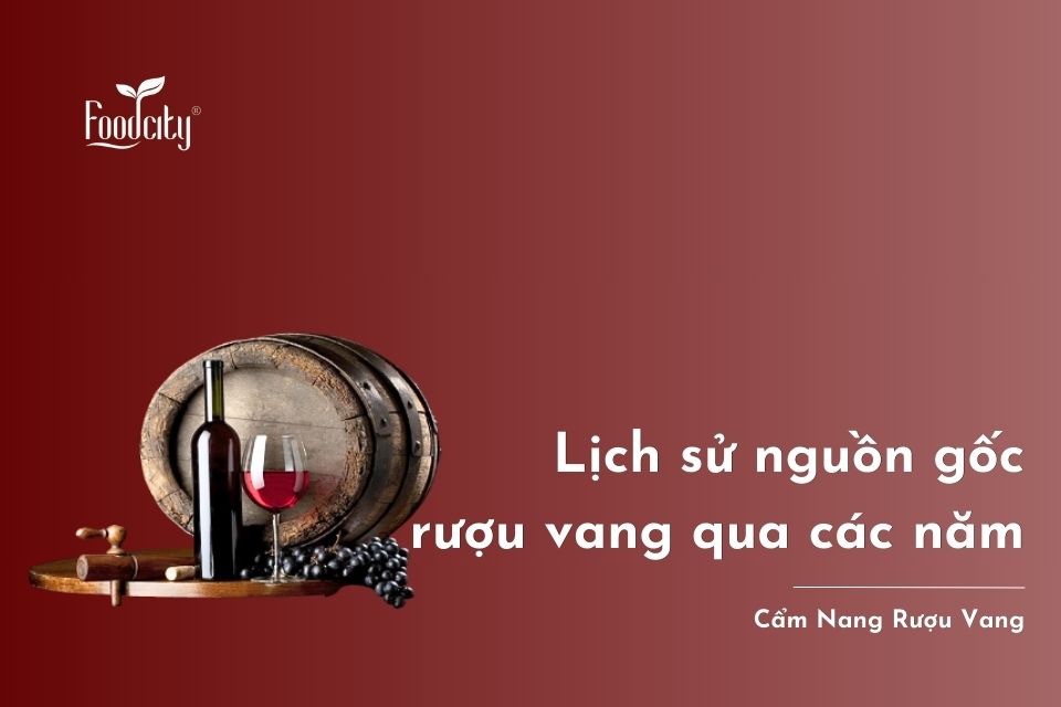 Lịch sử nguồn gốc rượu vang từ 6000 năm TCN đến nay Lịch sử nguồn gốc rượu vang từ 6000 năm TCN đến nay