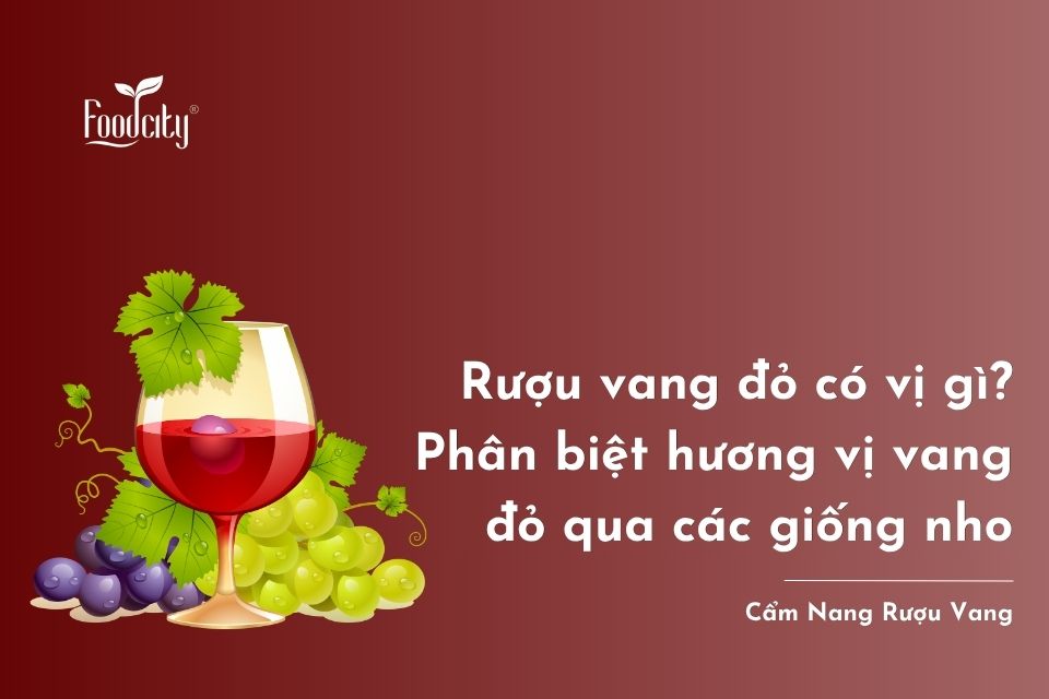 Rượu vang đỏ có vị gì? Phân biệt hương vị vang đỏ qua các giống nho Rượu vang đỏ có vị gì? Phân biệt hương vị vang đỏ qua các giống nho
