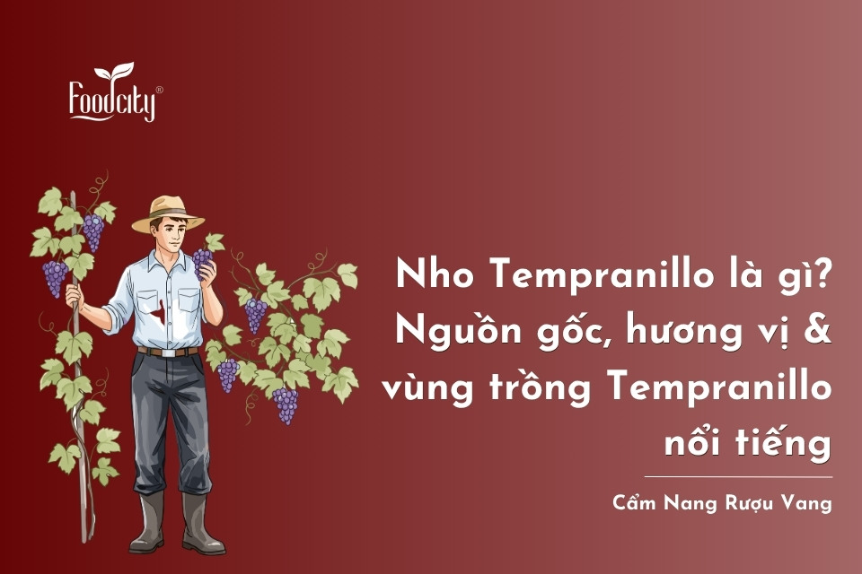 Nho Tempranillo là gì? Nguồn gốc, hương vị & các vùng trồng Tempranillo nổi tiếng Nho Tempranillo là gì? Nguồn gốc, hương vị & các vùng trồng Tempranillo nổi tiếng