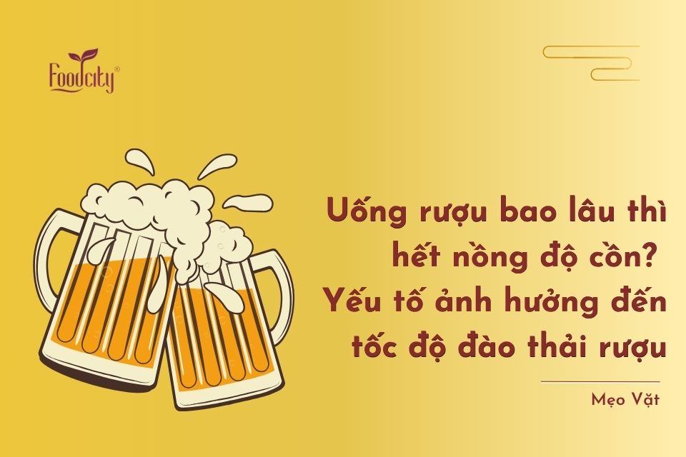Uống rượu bao lâu thì hết nồng độ cồn? Yếu tố ảnh hưởng đến tốc độ đào thải cồn