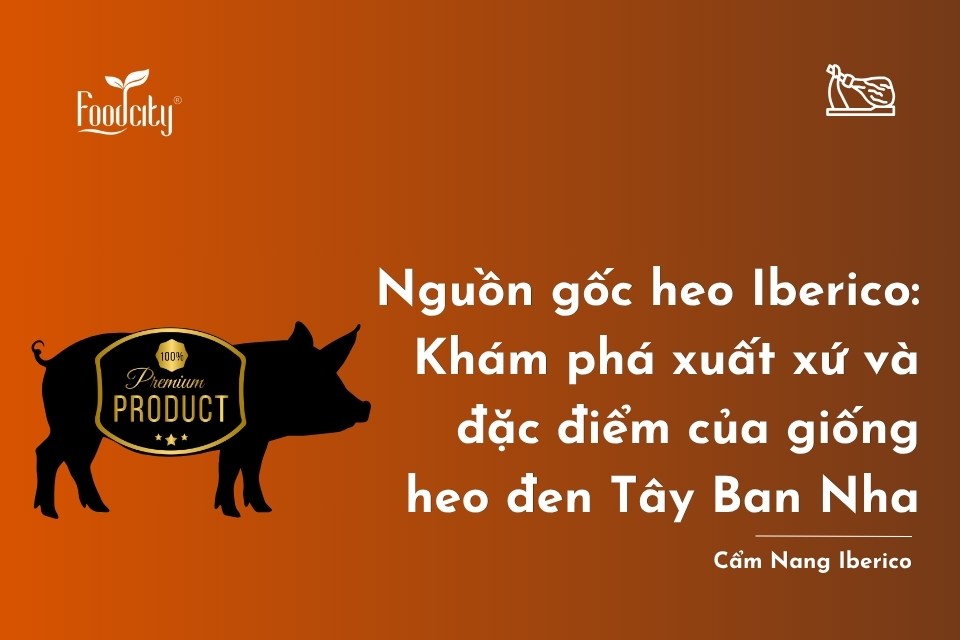 Nguồn gốc heo Iberico: Khám phá xuất xứ và đặc điểm của giống heo đen Tây Ban Nha