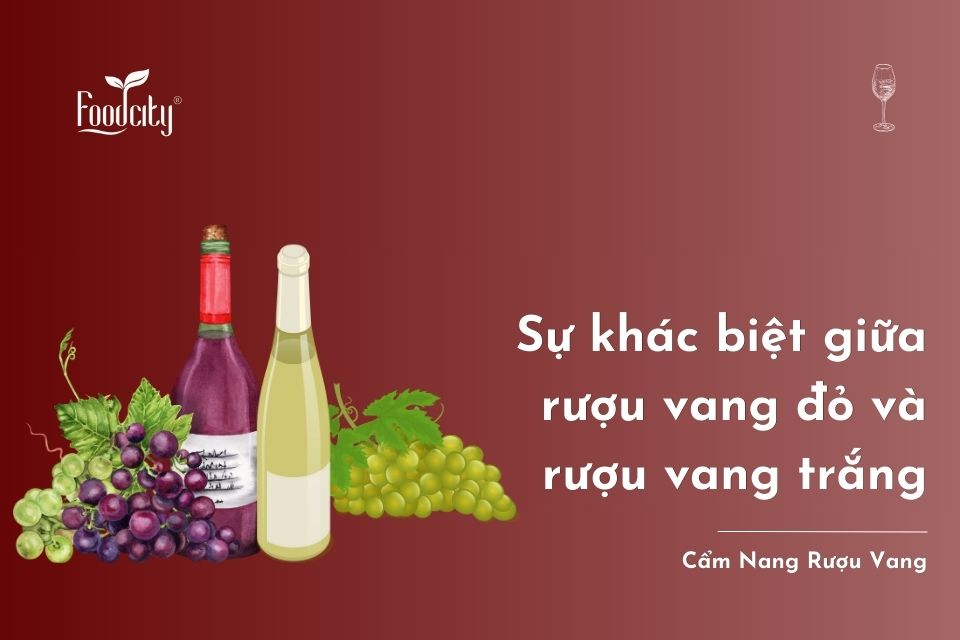 7 tiêu chí phân biệt vang đỏ và vang trắng 7 tiêu chí phân biệt vang đỏ và vang trắng