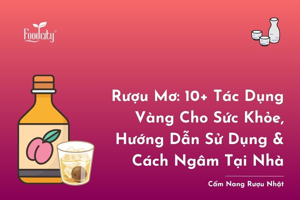 10+ tác dụng của rượu mơ đối với sức khỏe kèm hướng dẫn ngâm rượu mơ tại nhà 10+ tác dụng của rượu mơ đối với sức khỏe kèm hướng dẫn ngâm rượu mơ tại nhà