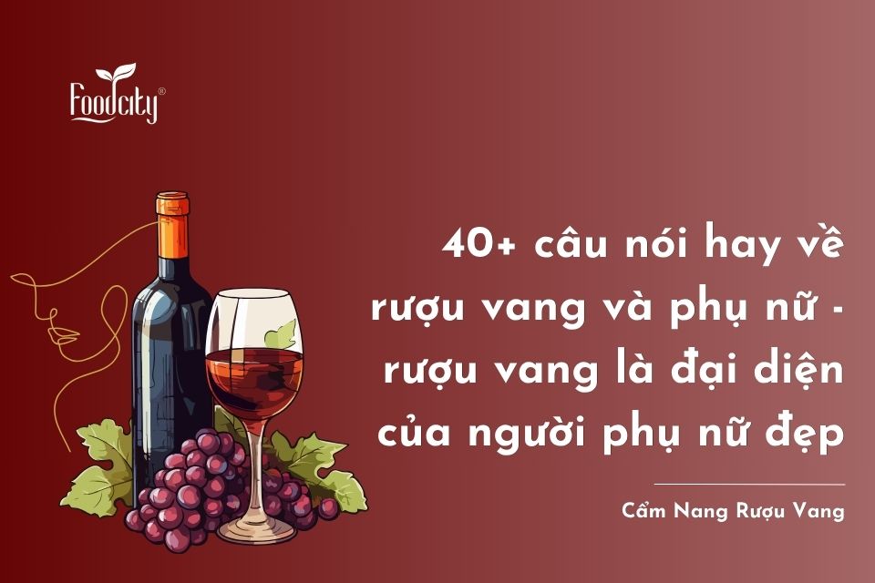 40+ câu nói hay về rượu vang và phụ nữ siêu hay đăng caption 40+ câu nói hay về rượu vang và phụ nữ siêu hay đăng caption