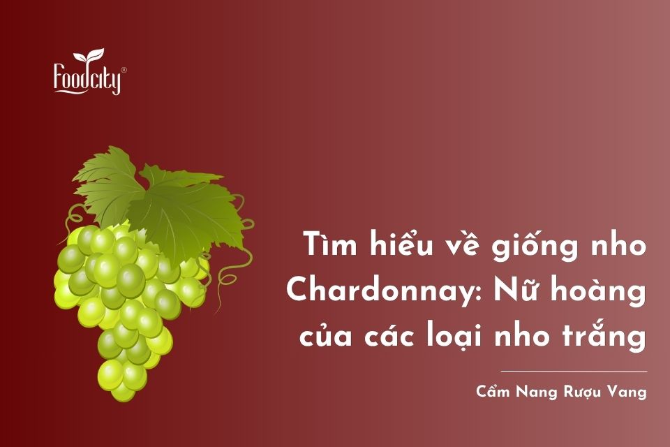 Tìm hiểu về giống nho Chardonnay: Nữ hoàng của các loại nho trắng 