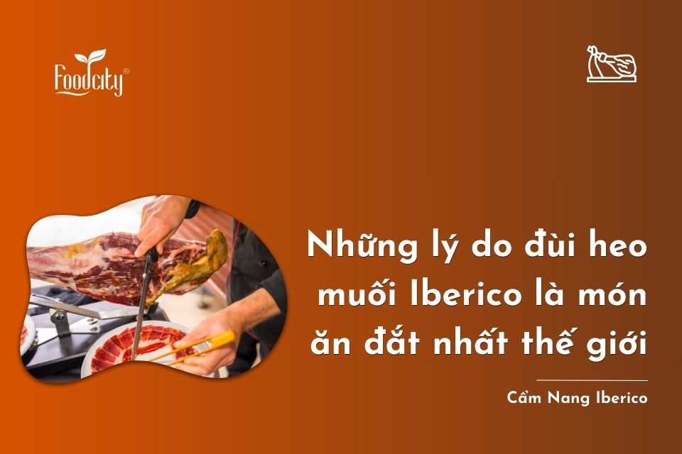 Những lý do đùi heo muối Iberico là món ăn đắt nhất thế giới
