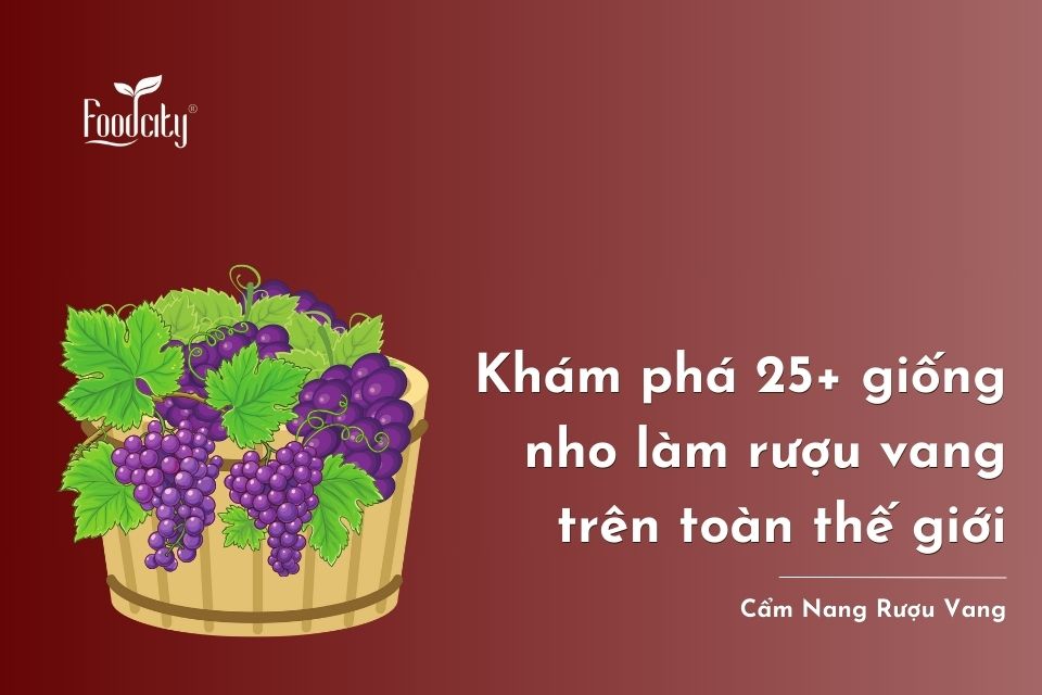 Khám phá 25+ giống nho làm rượu vang trên toàn thế giới Khám phá 25+ giống nho làm rượu vang trên toàn thế giới