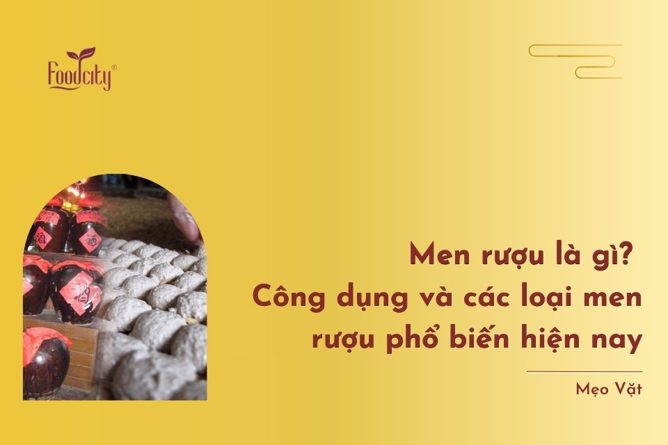 Men rượu là gì? Công dụng và các loại men rượu phổ biến hiện nay