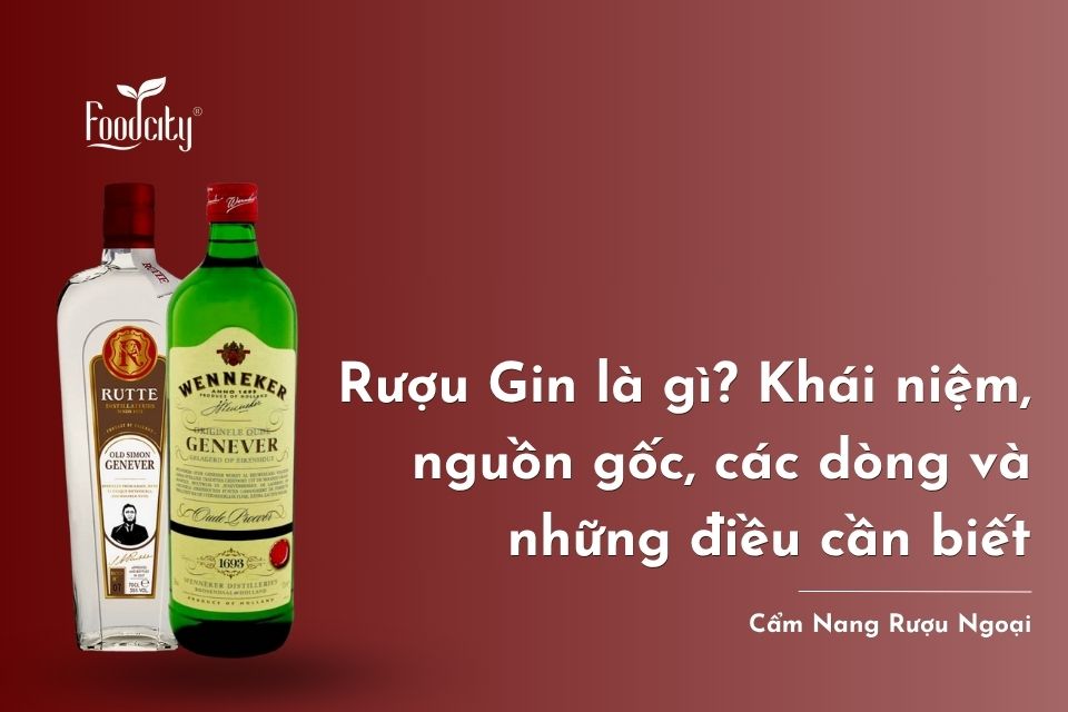 Rượu Gin là gì? Khái niệm, nguồn gốc, các dòng và những điều cần biết Rượu Gin là gì? Khái niệm, nguồn gốc, các dòng và những điều cần biết