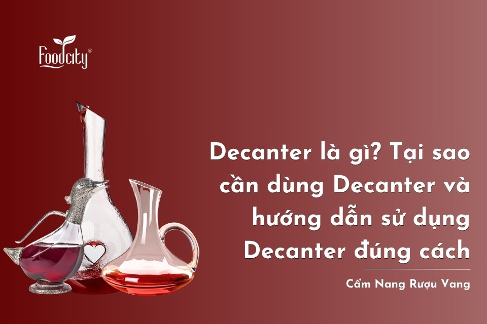 Decanter là gì? Tại sao cần dùng Decanter và cách dùng Decanter đúng 