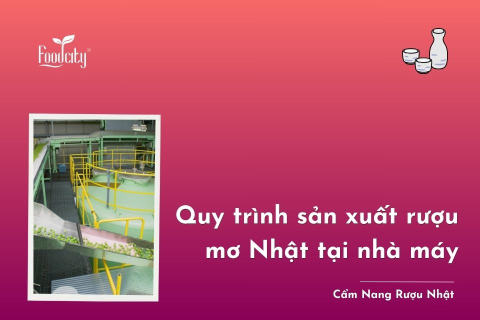 Quy trình sản xuất rượu mơ Nhật Bản tại nhà máy Quy trình sản xuất rượu mơ Nhật Bản tại nhà máy