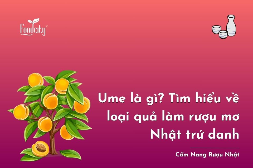 Ume là gì? Đặc điểm, nguồn gốc, thành phần dinh dưỡng và ứng dụng làm rượu mơ Nhật Ume là gì? Đặc điểm, nguồn gốc, thành phần dinh dưỡng và ứng dụng làm rượu mơ Nhật