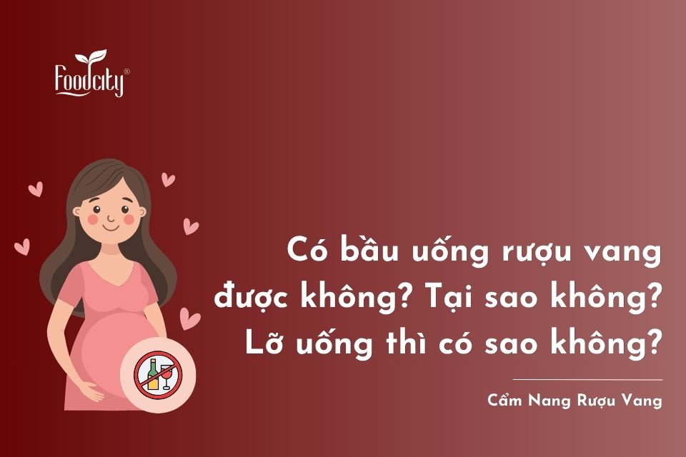 Có bầu uống rượu vang được không? Tại sao không? Lỡ uống thì có sao không? Có bầu uống rượu vang được không? Tại sao không? Lỡ uống thì có sao không?
