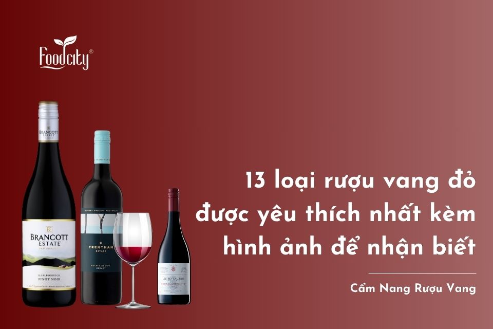 13 loại rượu vang đỏ được yêu thích nhất kèm hình ảnh để nhận biết 