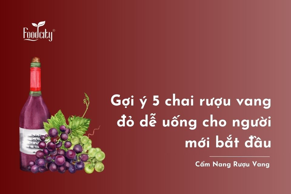 Gợi ý 5 chai rượu vang đỏ dễ uống cho người mới bắt đầu Gợi ý 5 chai rượu vang đỏ dễ uống cho người mới bắt đầu