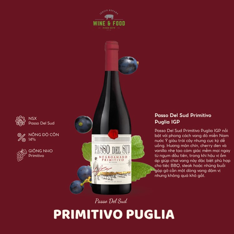 Rượu Vang Ý Passo Del Sud Primitivo Puglia IGP