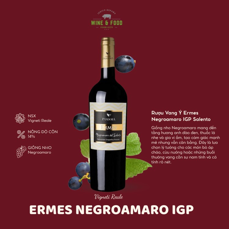 Rượu Vang Ý Ermes Negroamaro IGP Salento