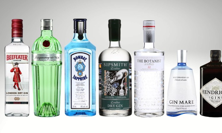 các loại rượu gin