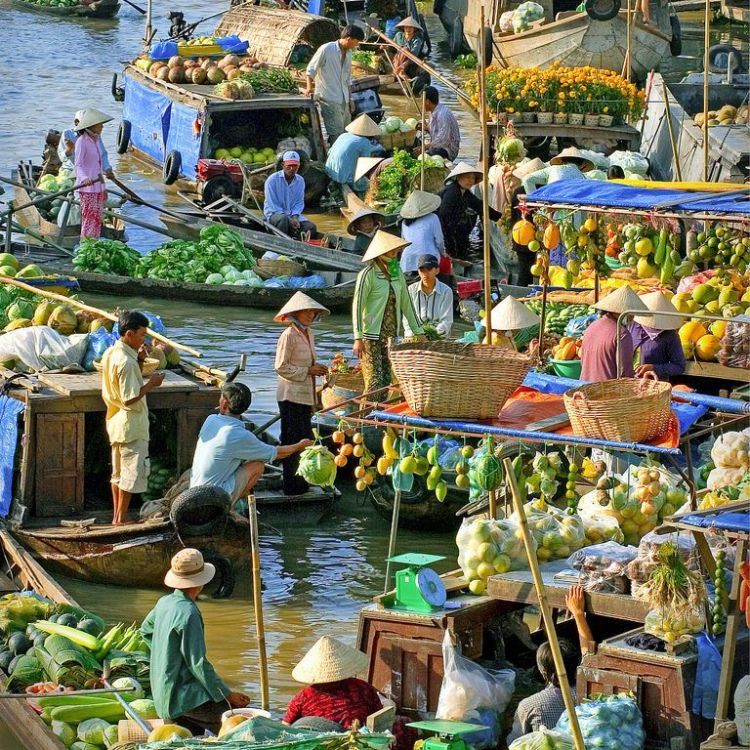 chợ nổi ở miền tây