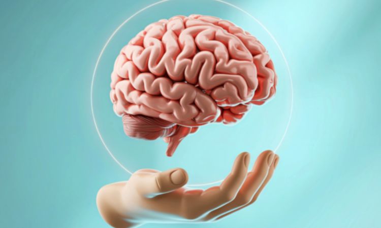 công dụng rượu vang hỗ trợ não bộ