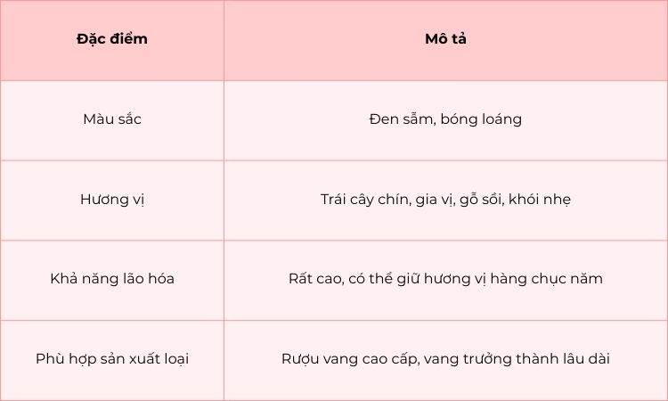 đặc điểm sinh học nho cabernet sauvignon