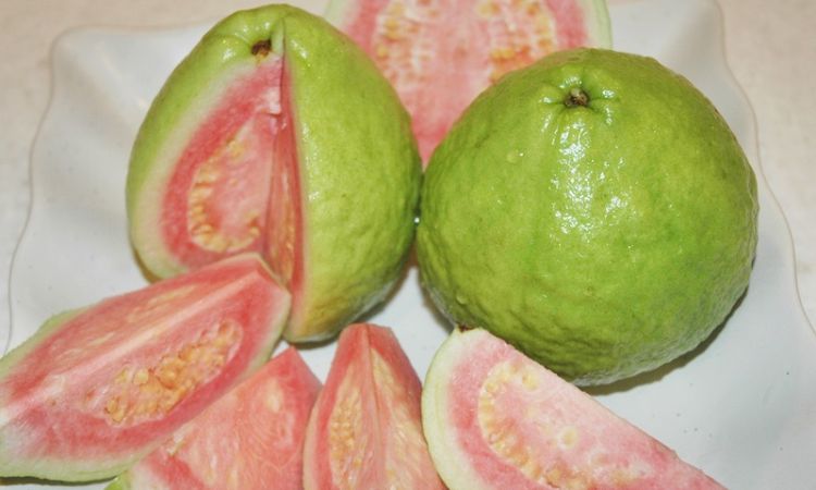 hương vị quả ổi
