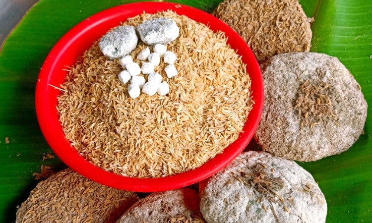 nặn bánh men