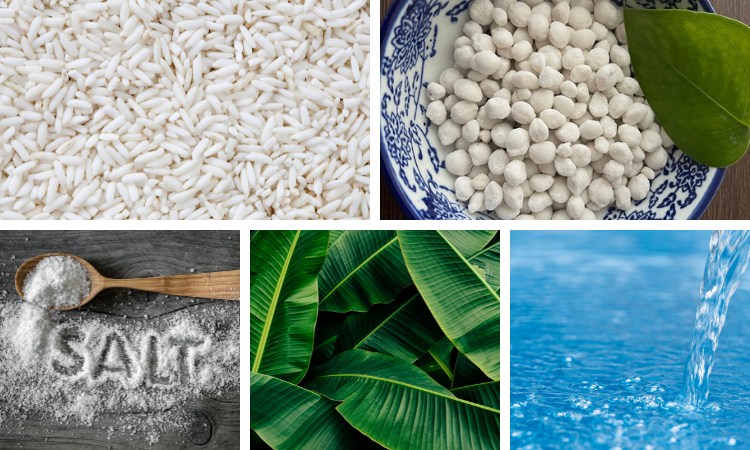 nguyên liệu làm cơm rượu