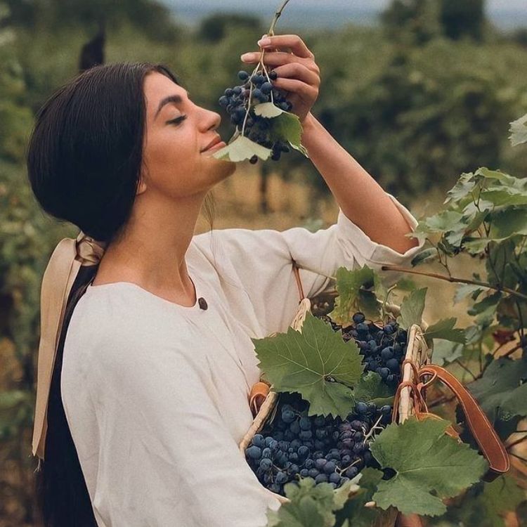 nho pinot noir