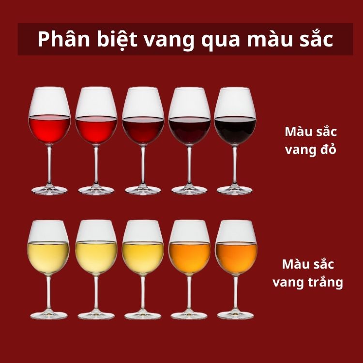 phân biệt rượu vang qua màu sắc