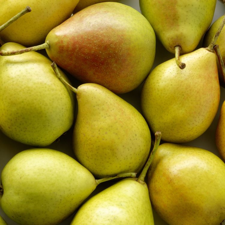 quả lê ngâm rượu