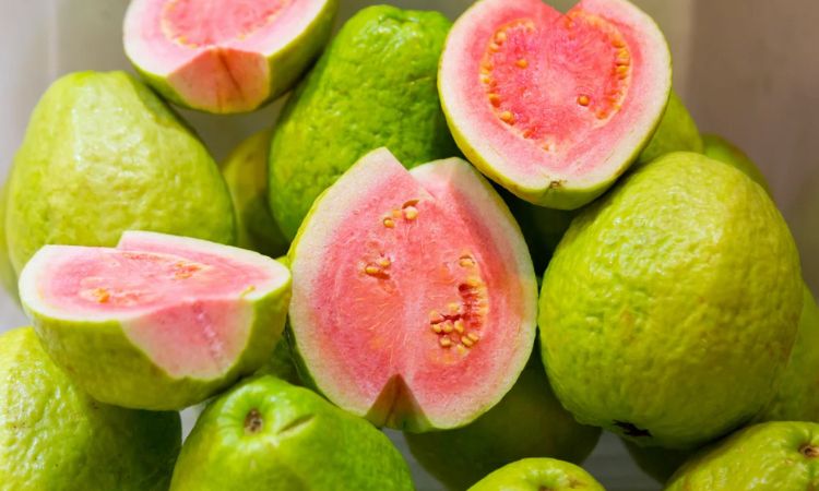 quả ổi hồng