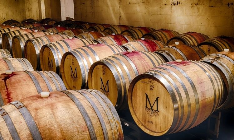 quá trình ủ rượu rum