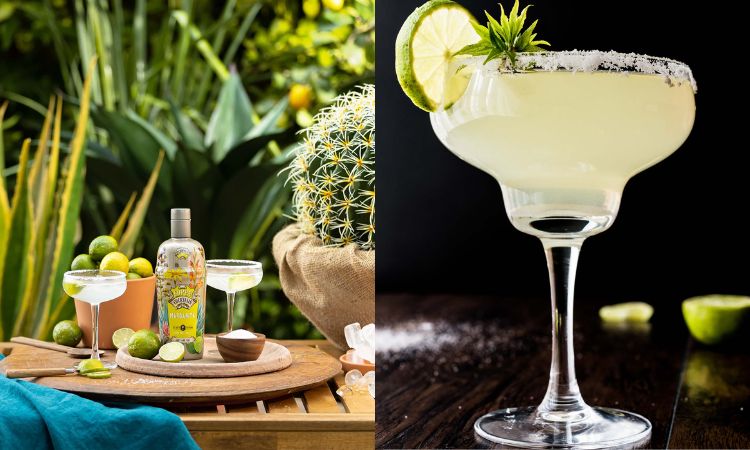 rượu nền tequila pha cocktail