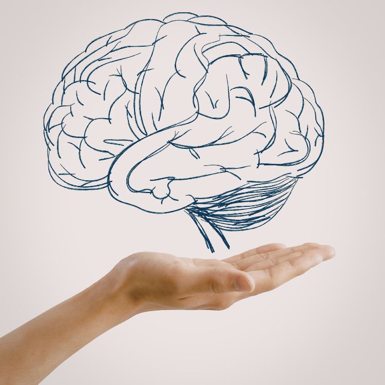 rượu vang cải thiện trí não