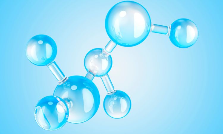 rượu vang hỗ trợ chống oxy hóa