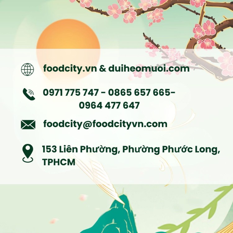 thông tin liên hệ công ty food city việt nam