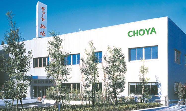 thương hiệu choya