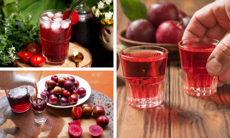 thưởng thức rượu mận hậu