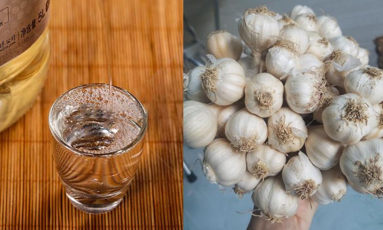 uống rượu tỏi đúng cách