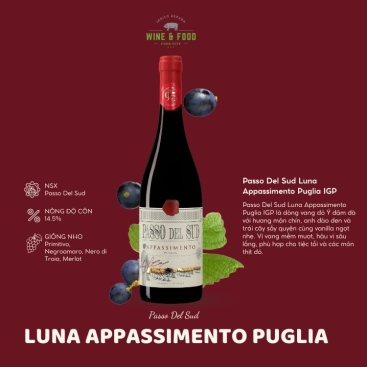 Rượu Vang Ý Passo Del Sud Luna Appassimento Puglia IGP