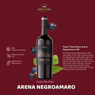 Vang Ý Due Palme Arena Negroamaro IGP